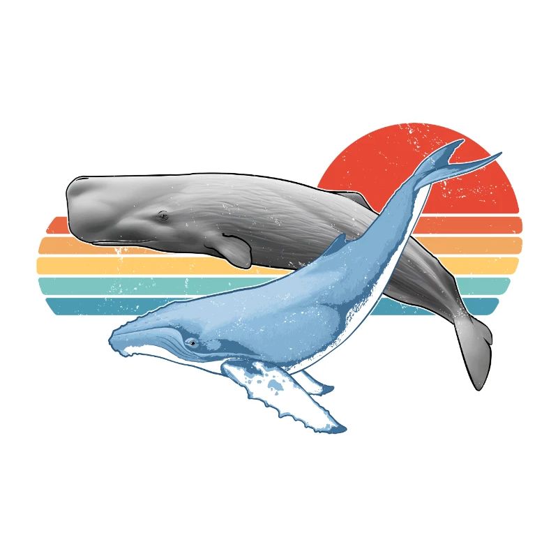 Cachalot et baleine à bosse