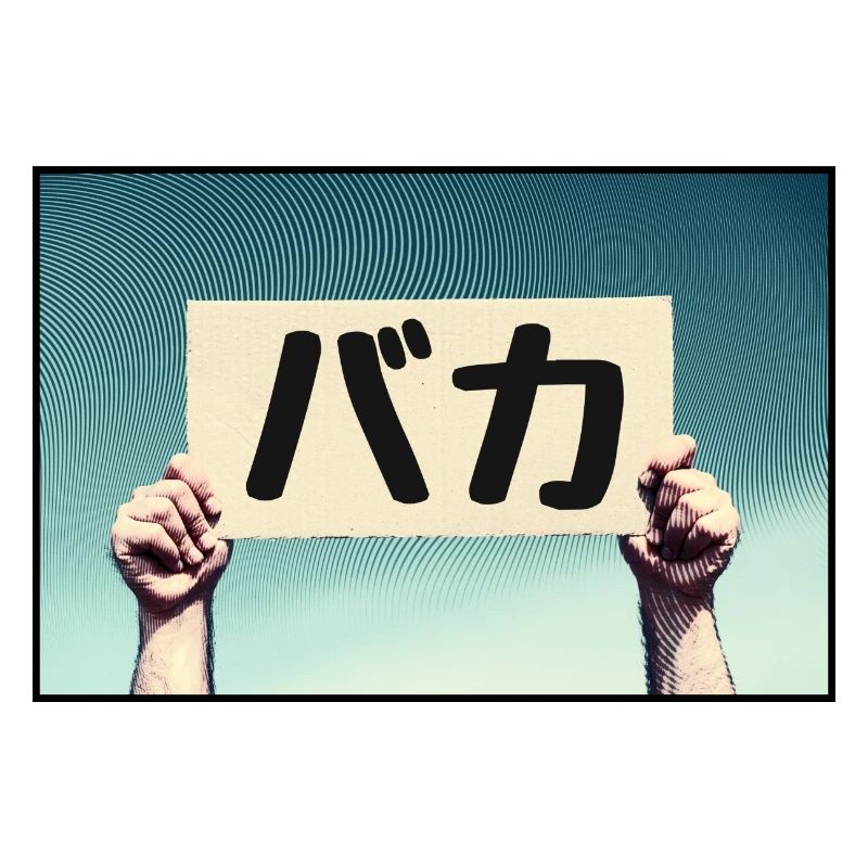 Schild - Baka!