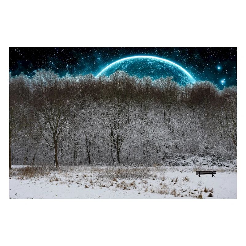 Lune céleste d’hiver dans la forêt