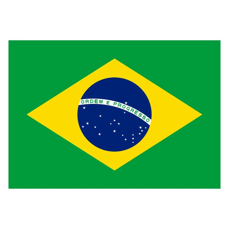 Brazil flag / Drapeau Brésil