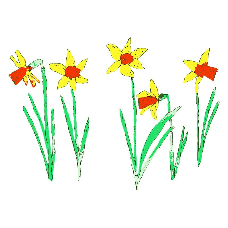 Daffodils