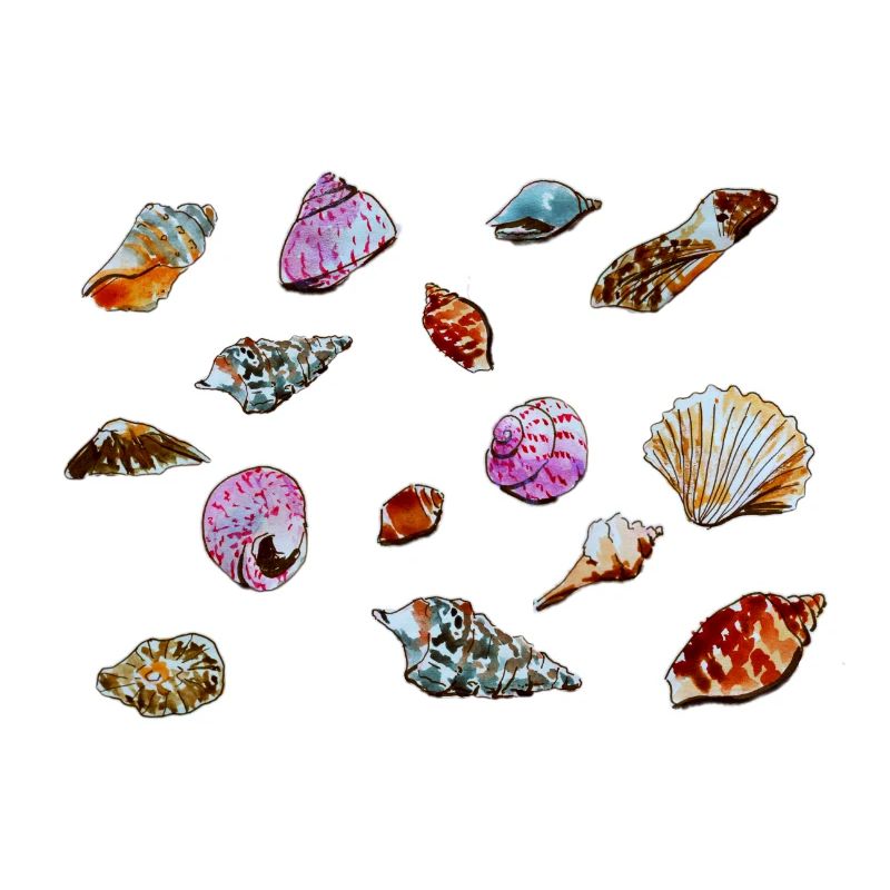 Colourful Seashells Marine Pattern