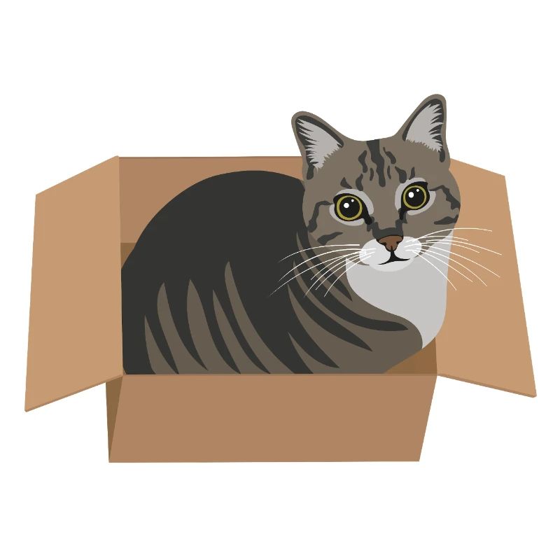 Un chat dans une boîte
