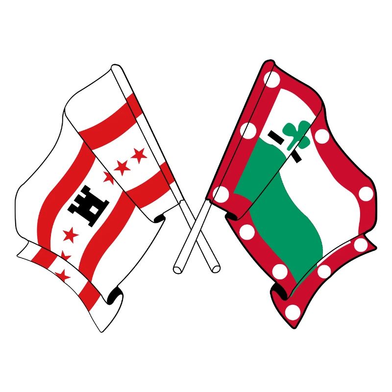 Meppel & Drenthe Flags – Regional Pride