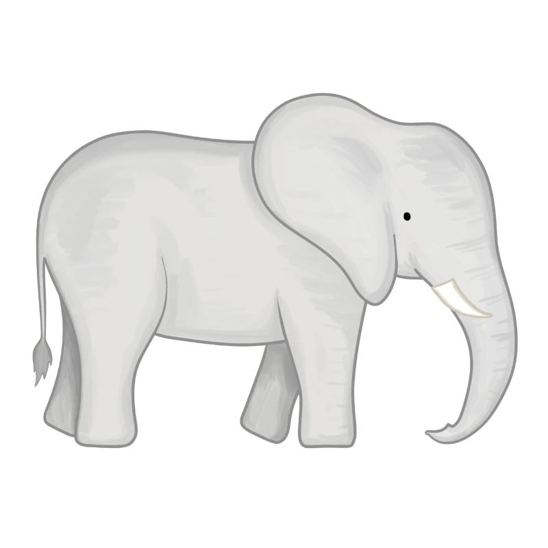Elephant Baby