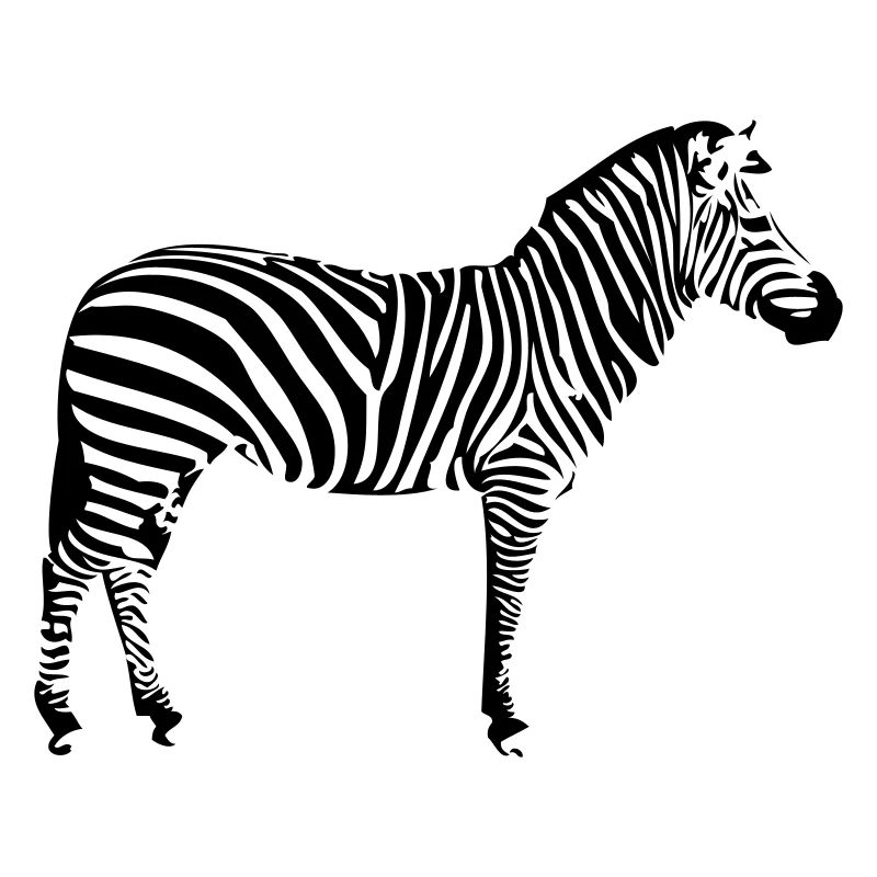 zebra 1