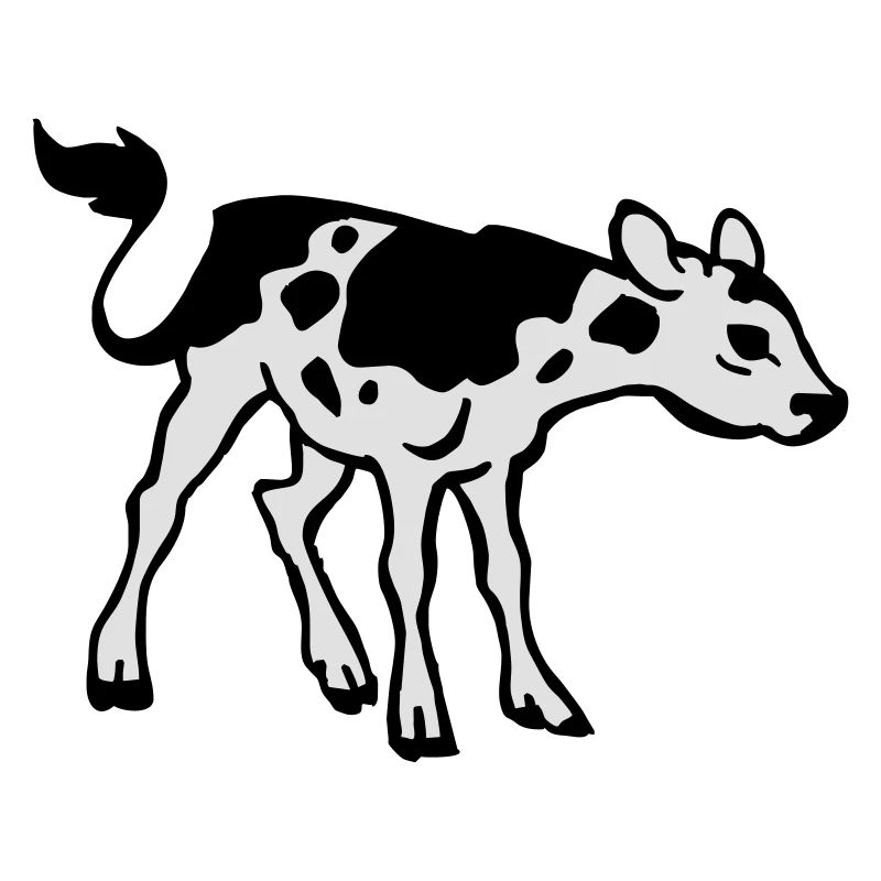 Veau