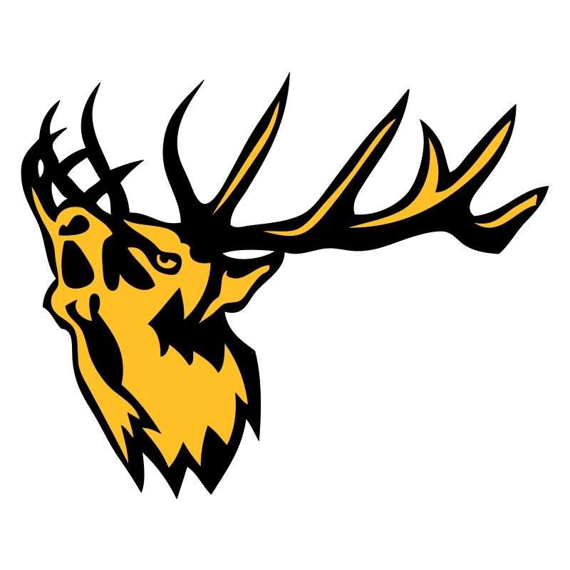 Tierhirschbrunft Hirsch 0