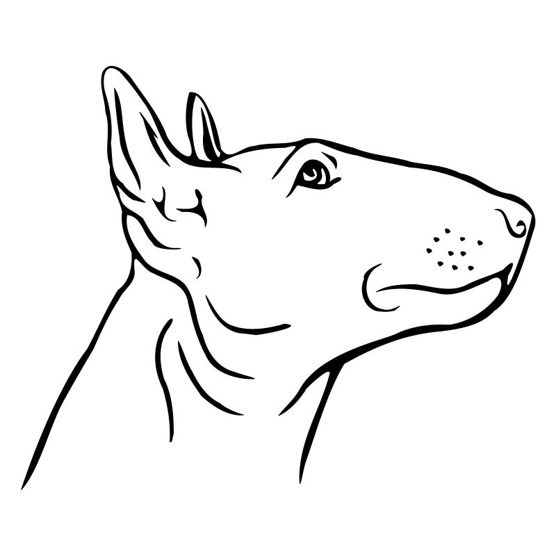 Bull Terrier Head in Profile
