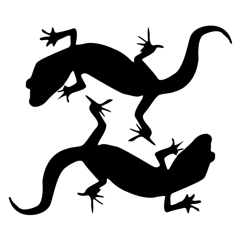 geckos design