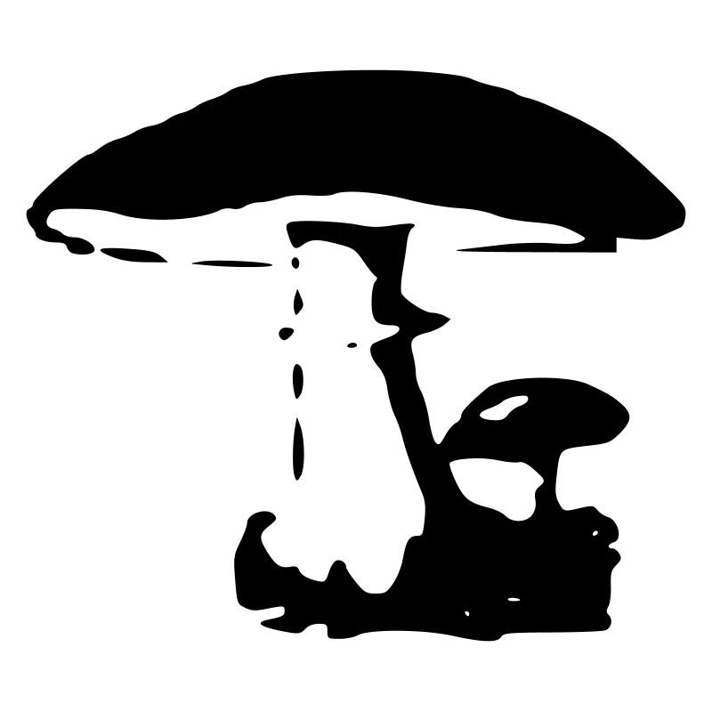 Pilz Hexenröhrling Pilzsucher