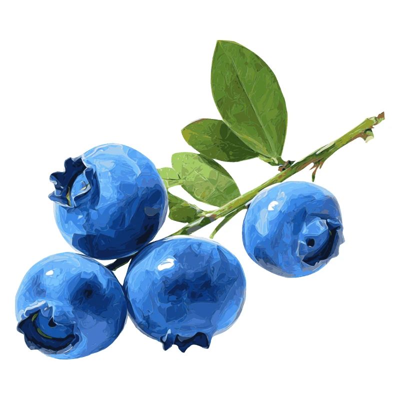Blueberries