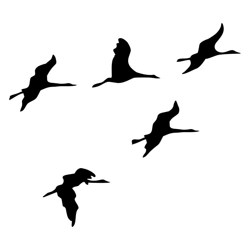 kraniche vogel reise