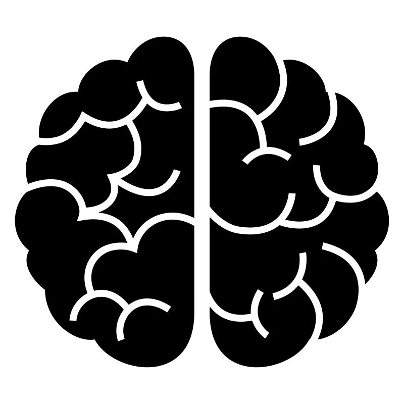 Brain