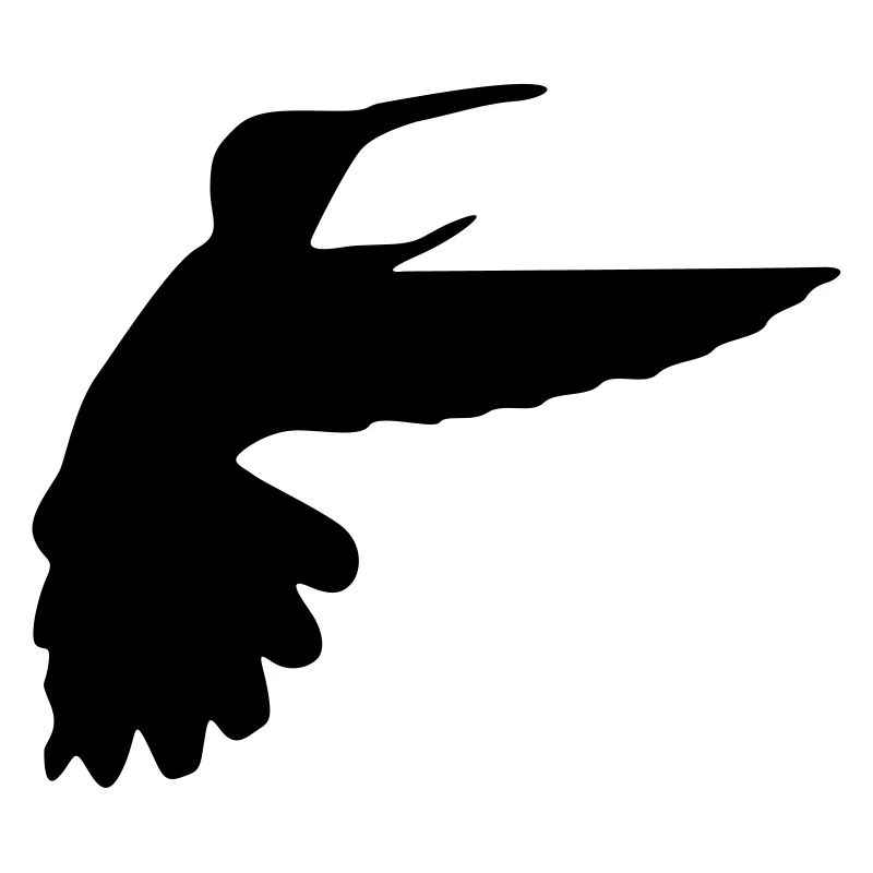 kolibri vogel