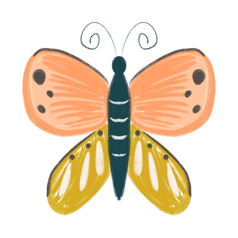 Papillon