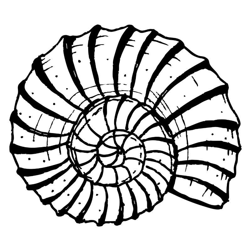 Fossil Day