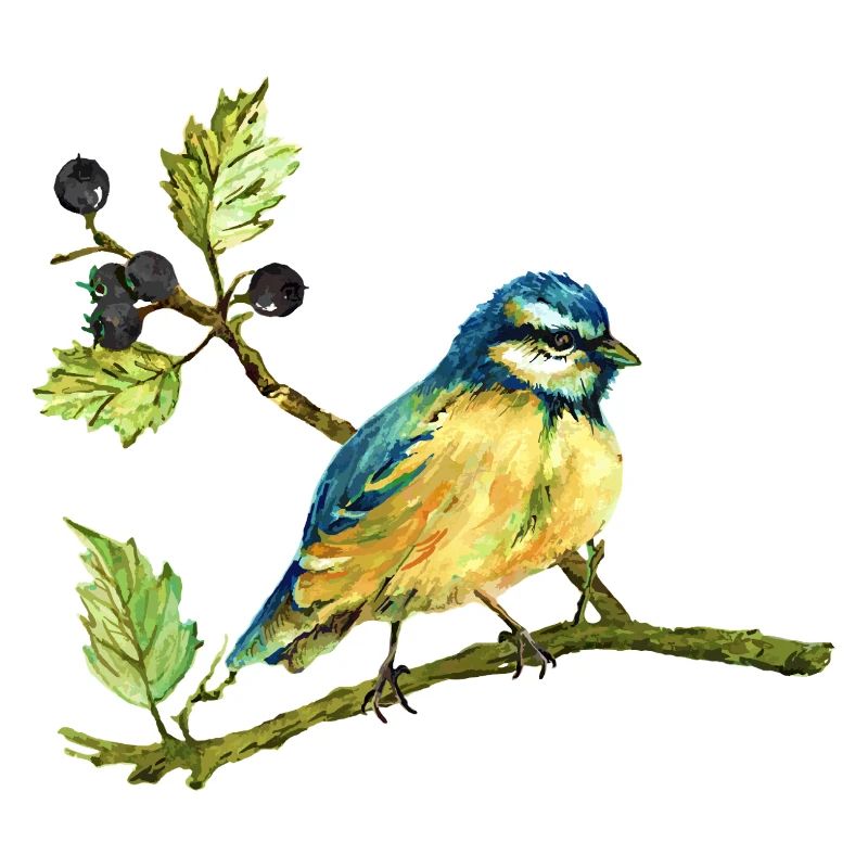 Bunter Vogel