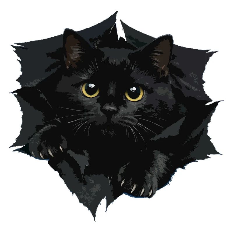 Black Cat by Clipped Edge