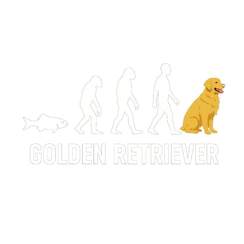 Evolution du Golden Retriever