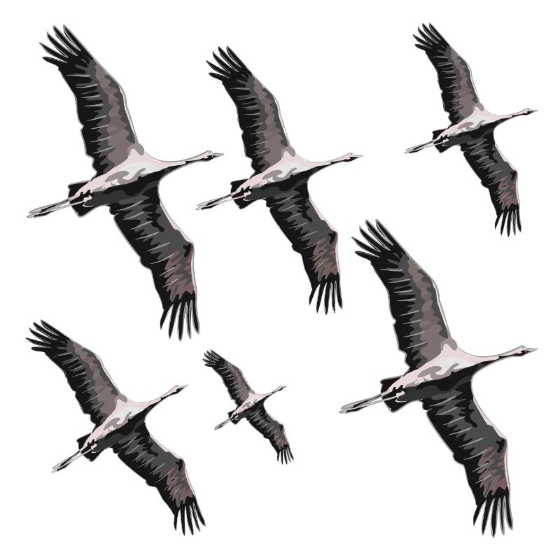 Vogelzug Kraniche