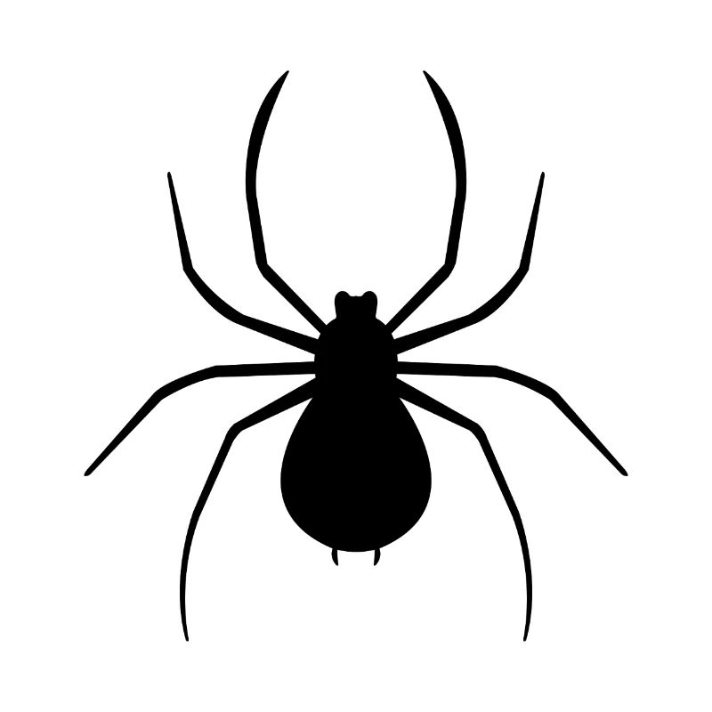 spider