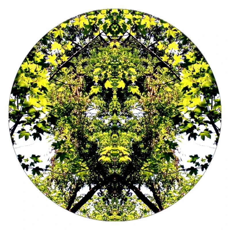 Tree Nature Creature