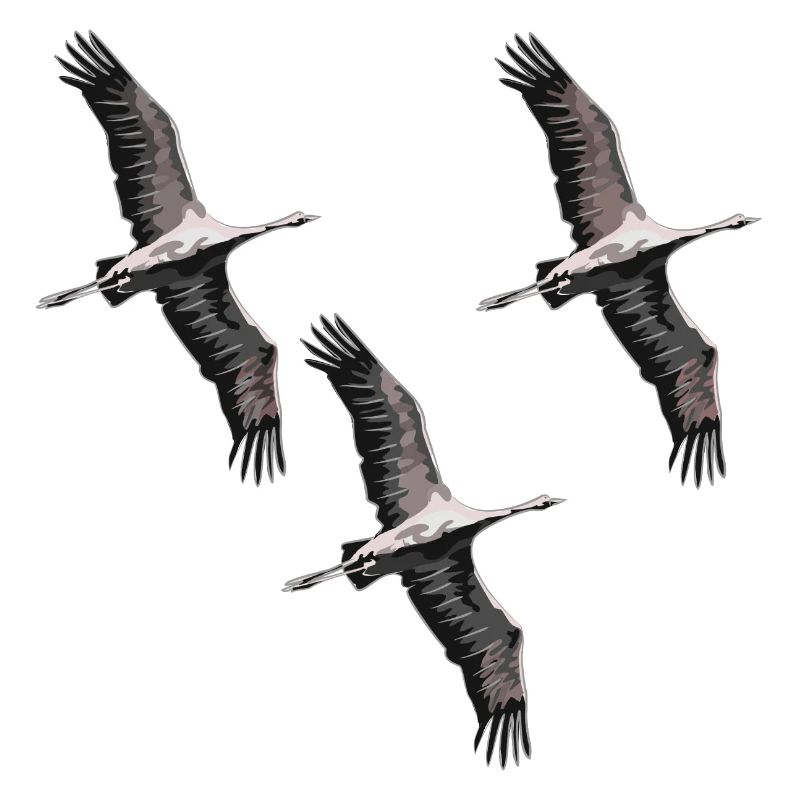 Grues migratrices d’oiseaux dans les tons de gris