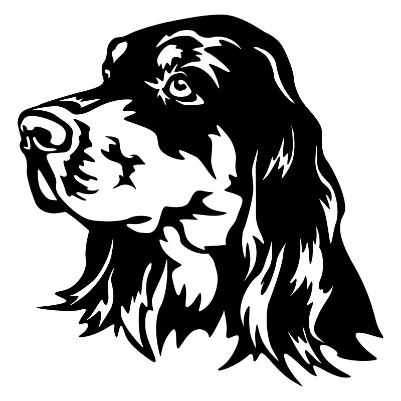 Gordon Setter Tête