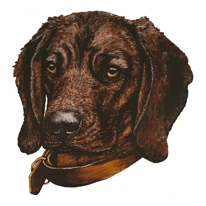 BGS Portrait Birke