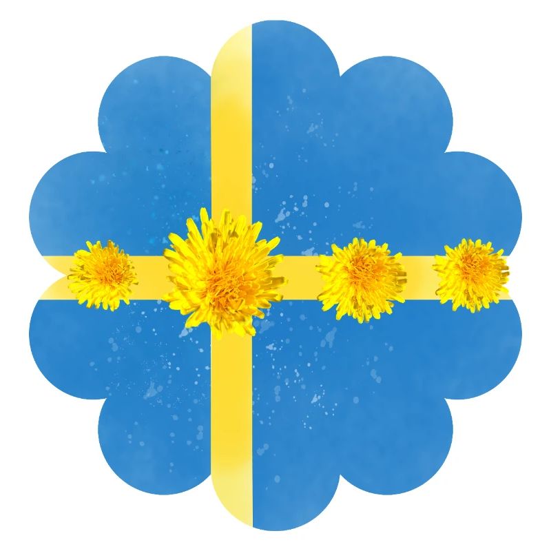 Suède Pissenlit Fleurs Suède Drapeau