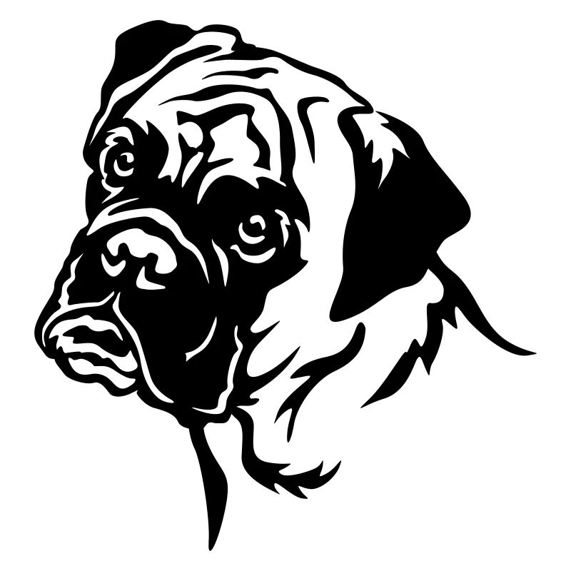 Boxer Head