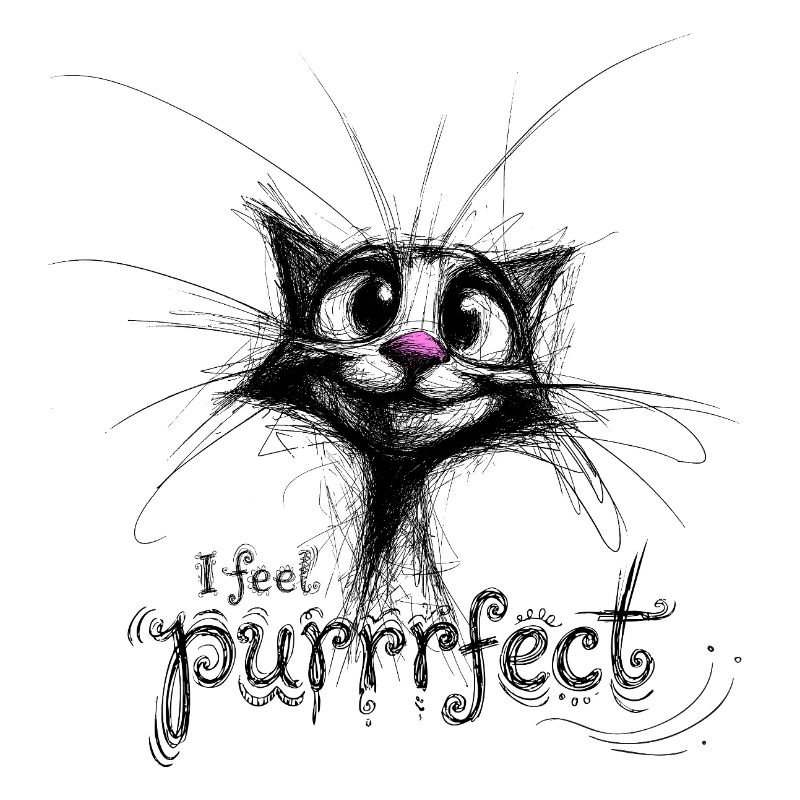 chat mignon – je me sens purrfec