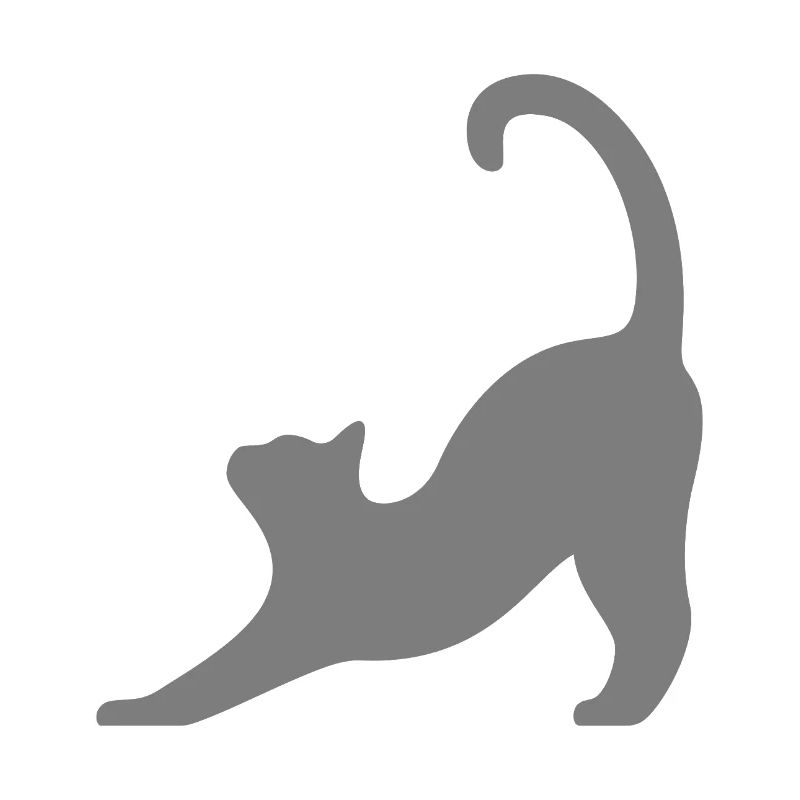 Katze grau