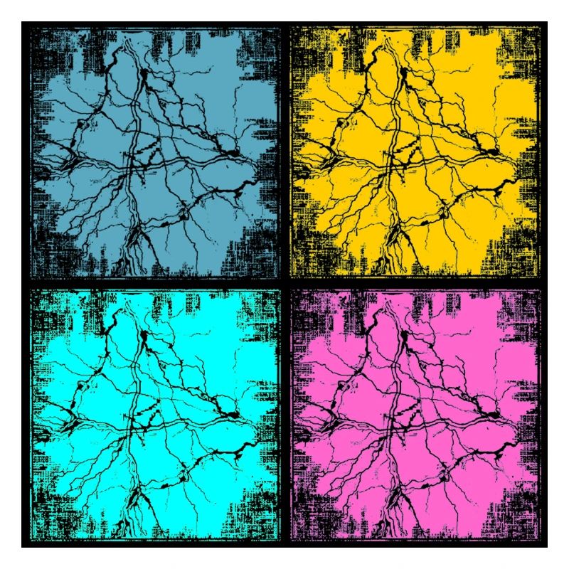 Style urbain Popart
