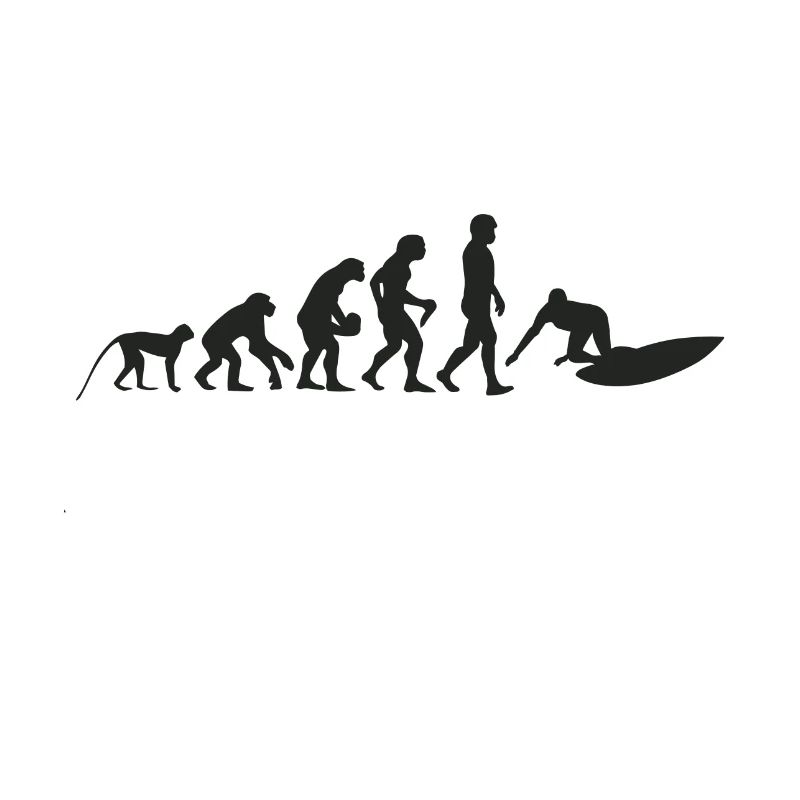 Evolution de surf