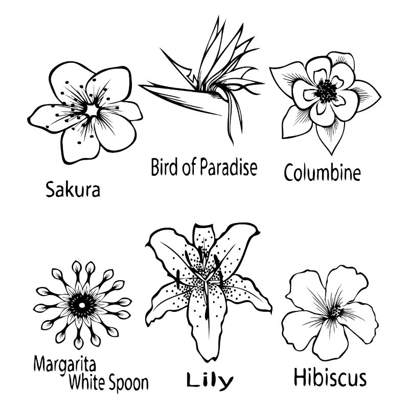 Types of flowers