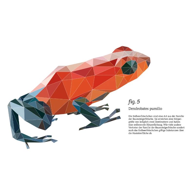 fig5_polygonpfeilgiftfrosch