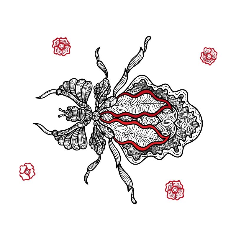 Insecte