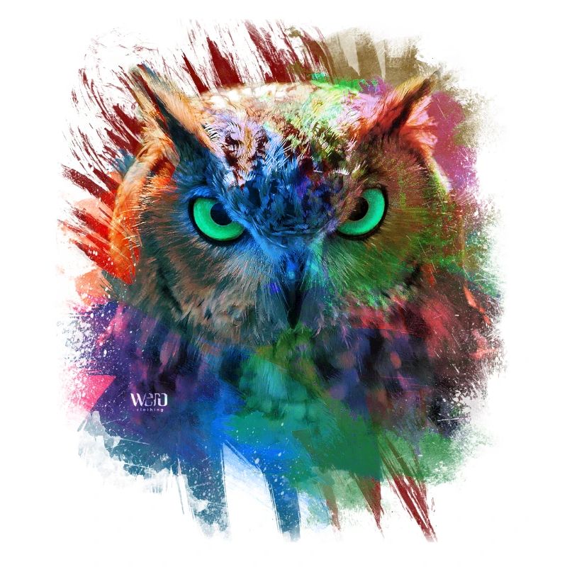 Hibou multi couleur