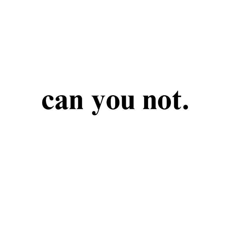 Can You Not Funny Typography art