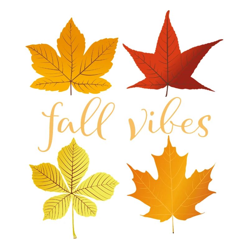 Fall Vibes