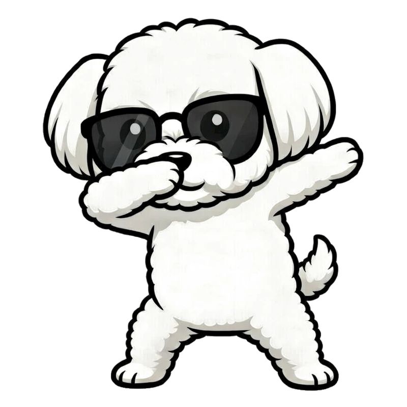 Dabbing Maltese