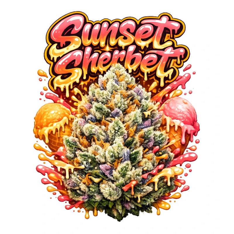 Graffiti Stylit Sunset