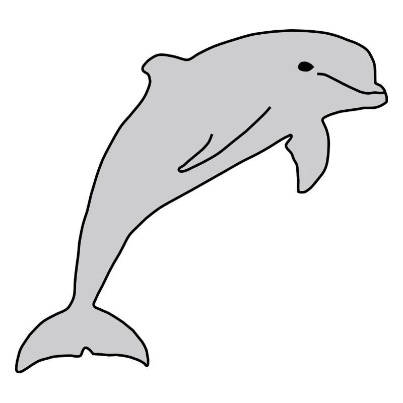Dolphin