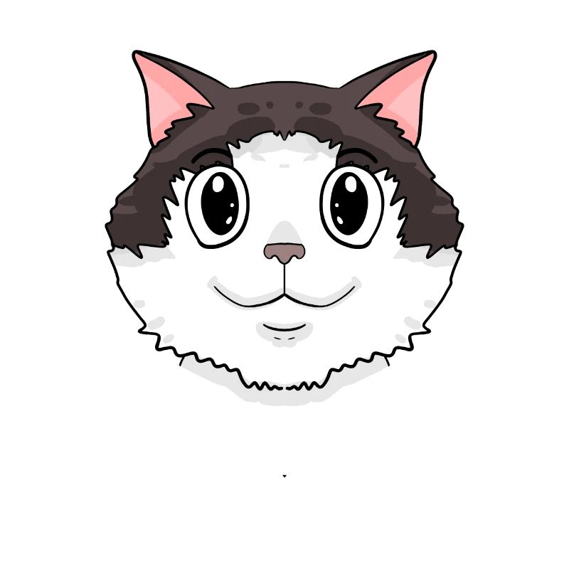 Ragdoll Cat