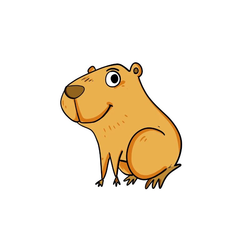 Capybara Mädchen Spruch