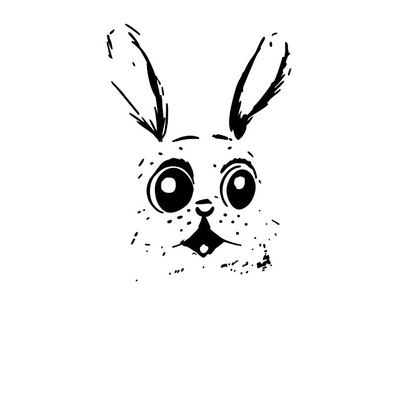 I Know That I Know Nothing - A Wise Rabbit