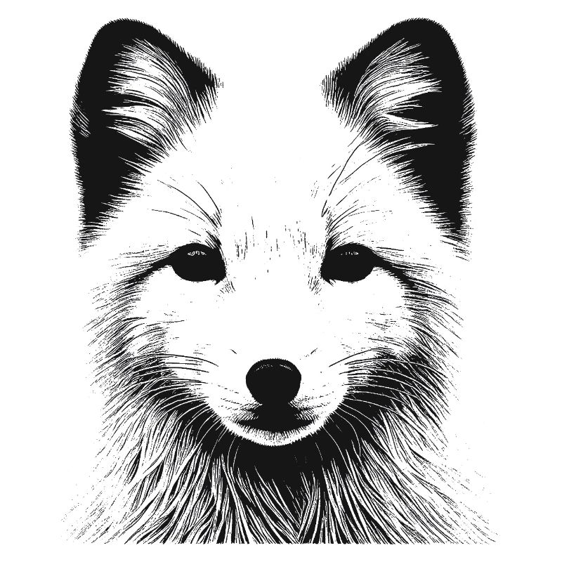 Polar fox