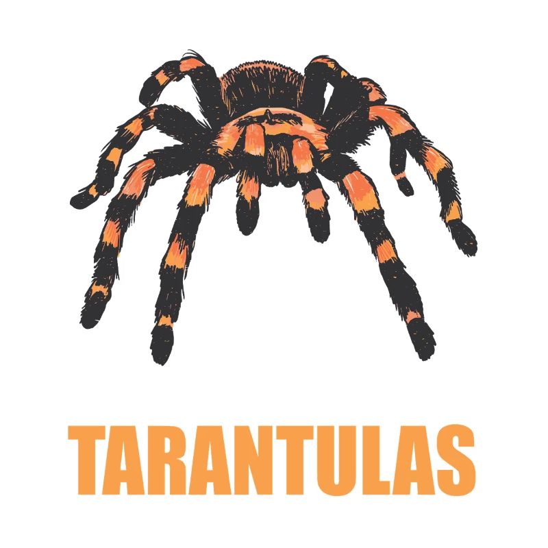 Tarentules Tarentule